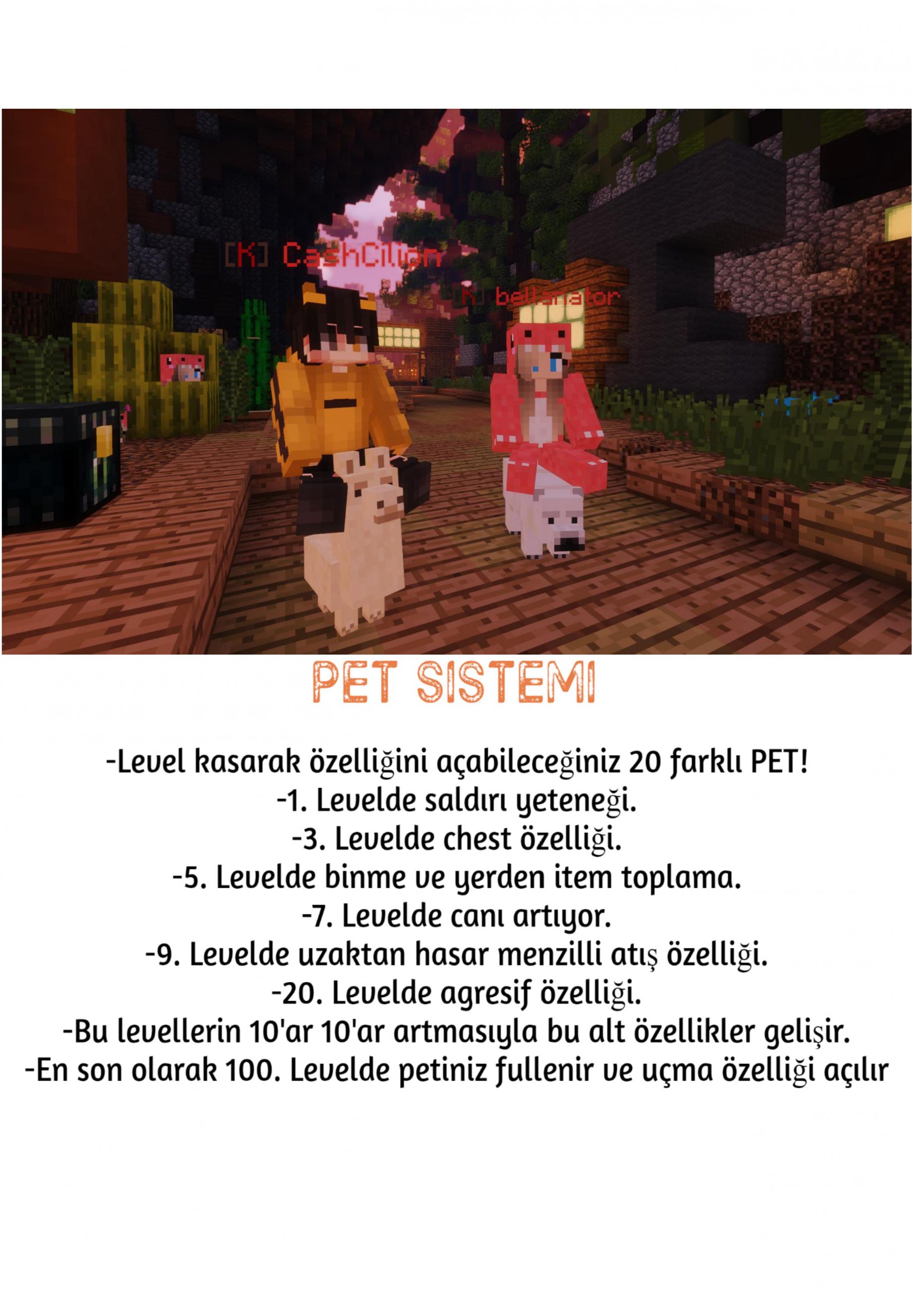 0001 (1).jpg