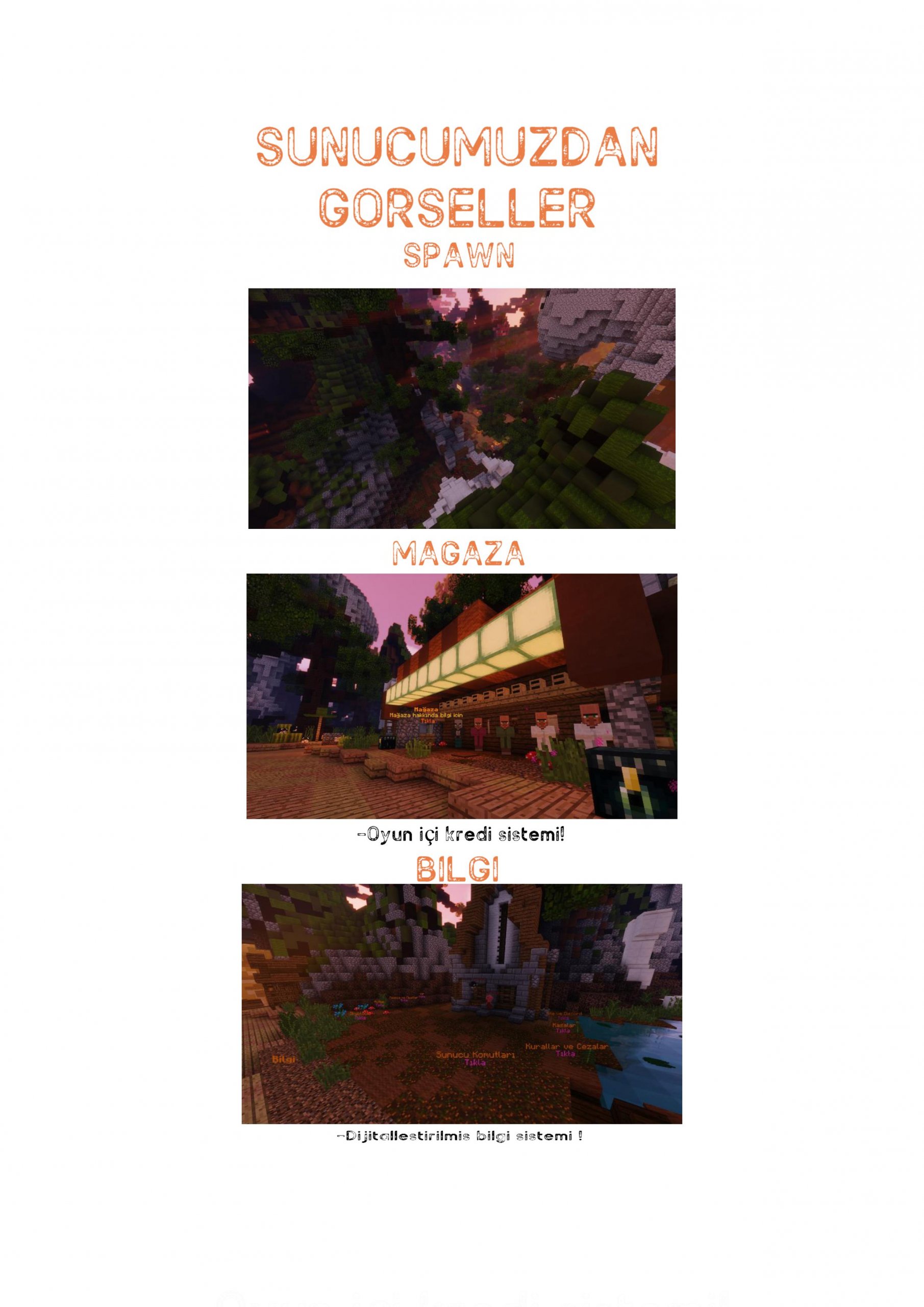 0001 (4).jpg