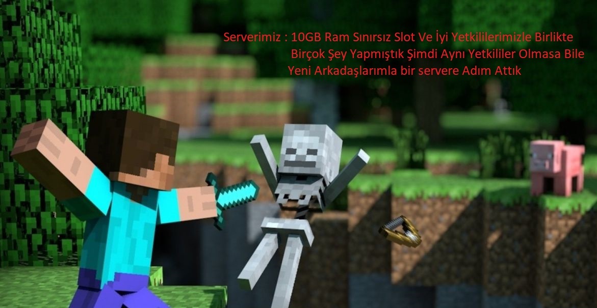 100mine.0.jpg