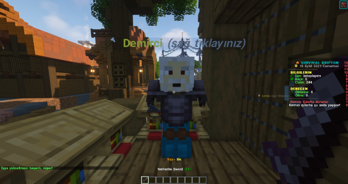11.png