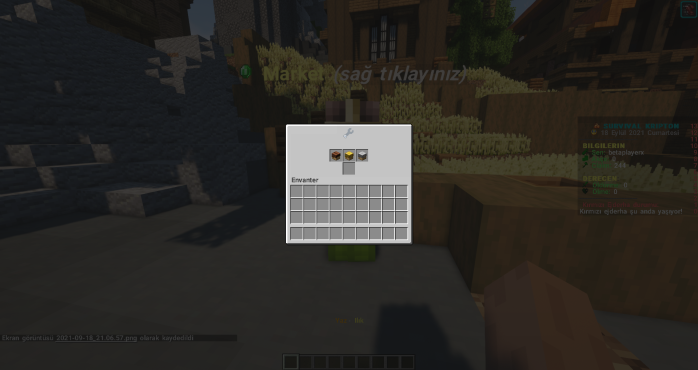 13.png