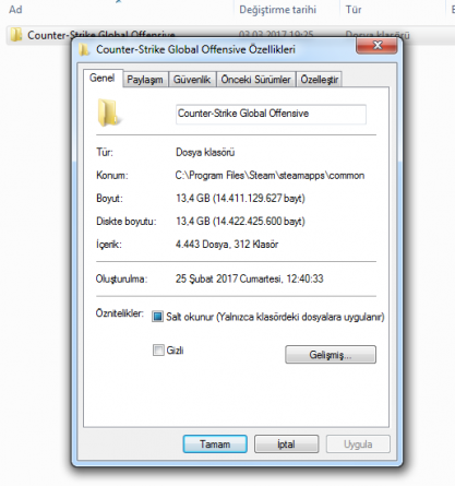 13gb.png