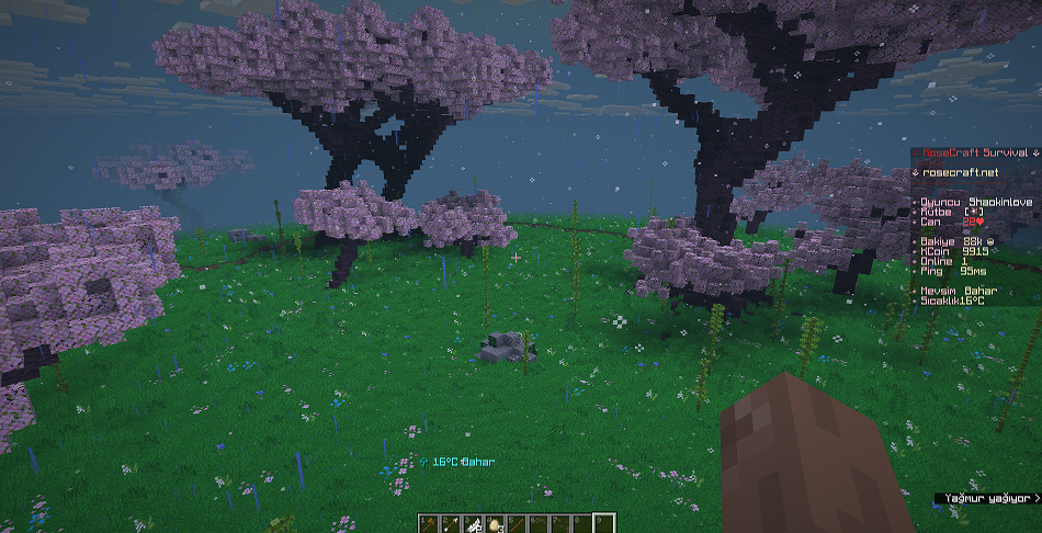 15112512515.PNG