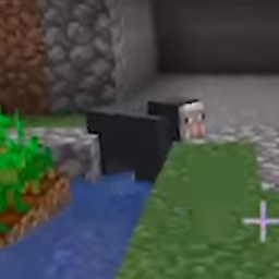 130376