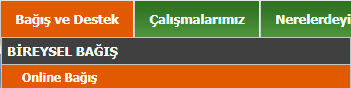 133666