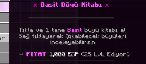 139203