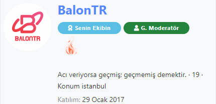 1585159503698.png