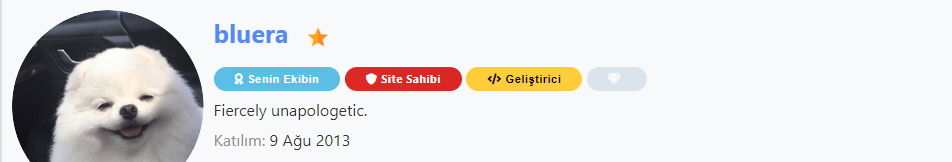 1585159935275.png