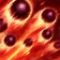 1591777864728.png