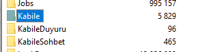 1612023196916.png