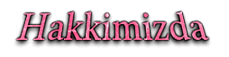 1619288542516.png