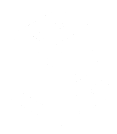 1693663853287.png