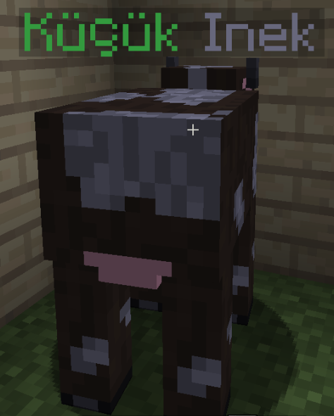 115572