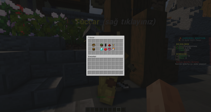 17.png