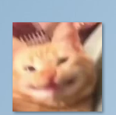1706729114959.png
