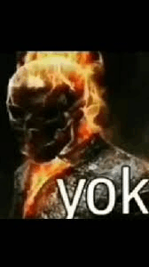 1744969256025.png