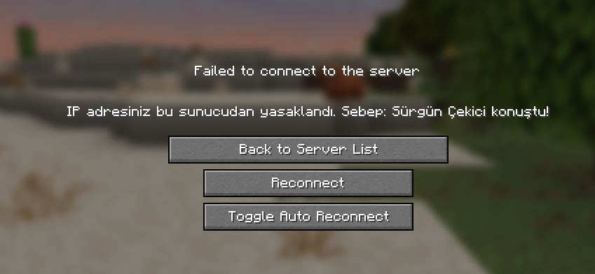 1750105825079.png