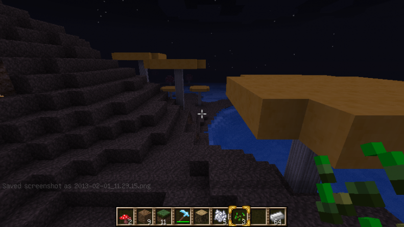 2013-02-01_11.29.24.png