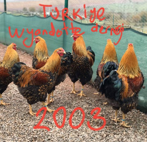 20181203_215804.jpg
