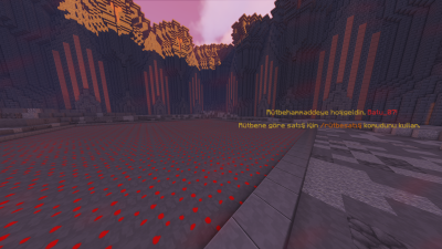 2020-08-31_18.09.38.png