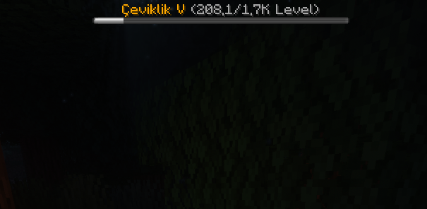 2021-02-11_00.39.34a.png