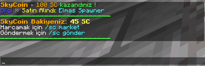 2021-02-25_21.32.23.png