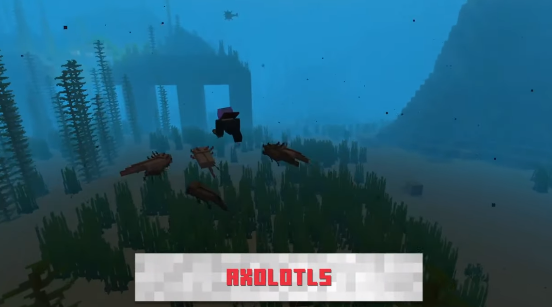 22.png