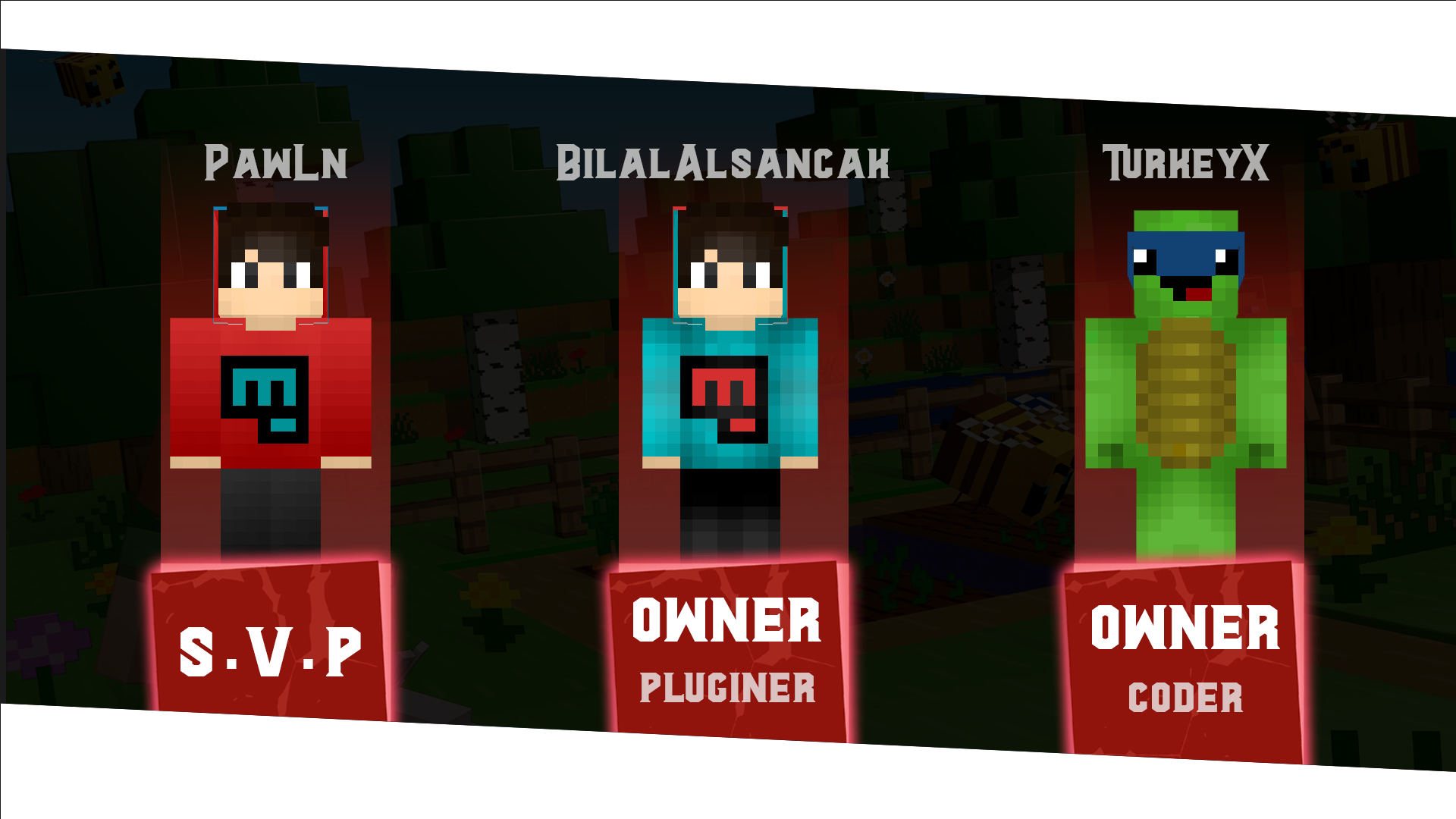 33333.png