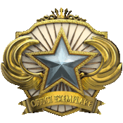 450751265_preview_2018 Service Medal.gif