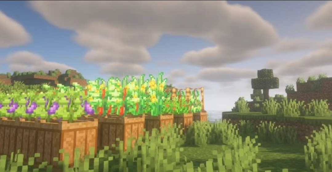 5.png