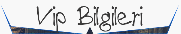 9. Vip Bilgileri.png
