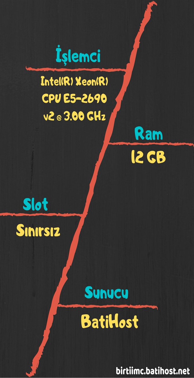 156119