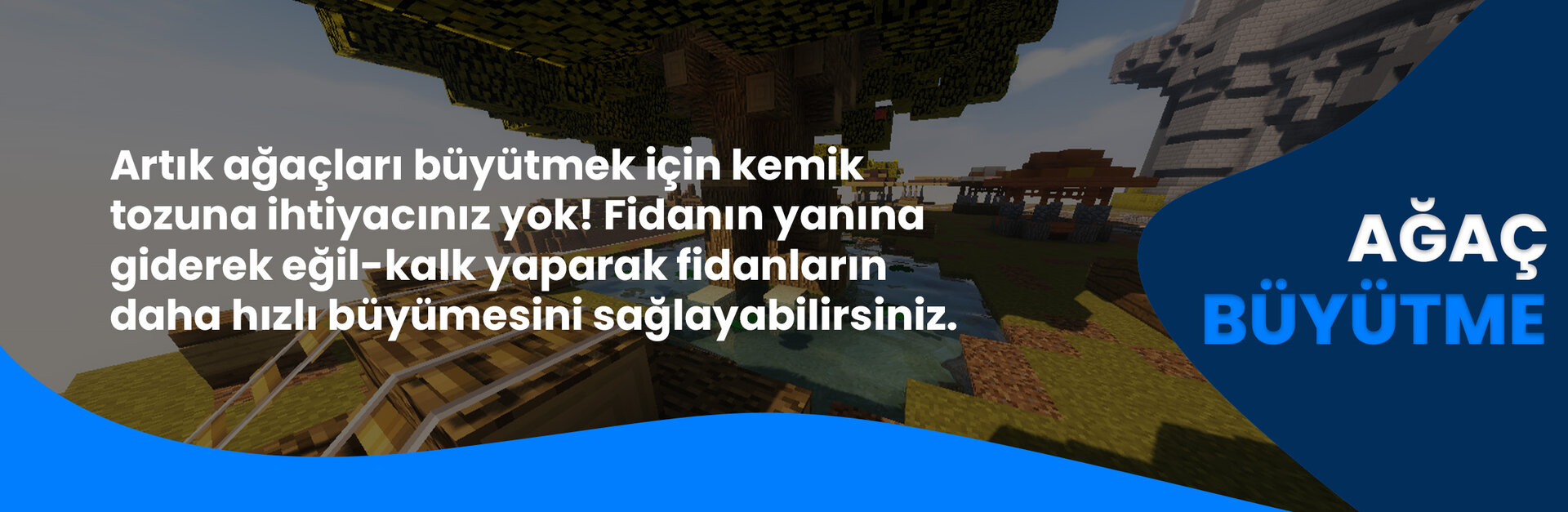 ağaç büyütme.jpg