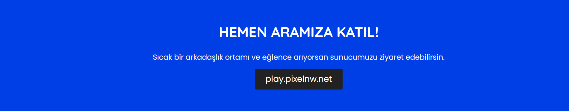aramizakatil.png