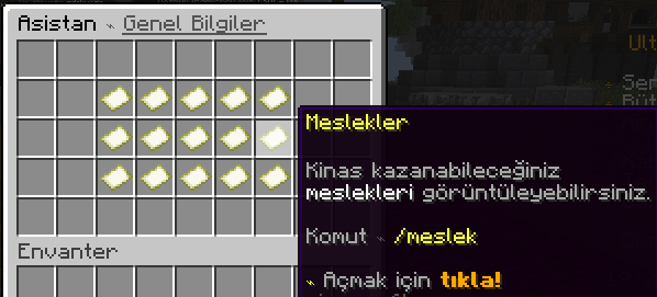 asistan.png