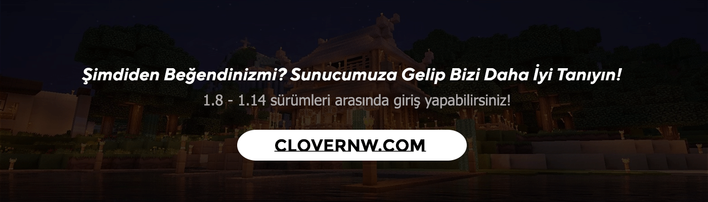 ayraç.png