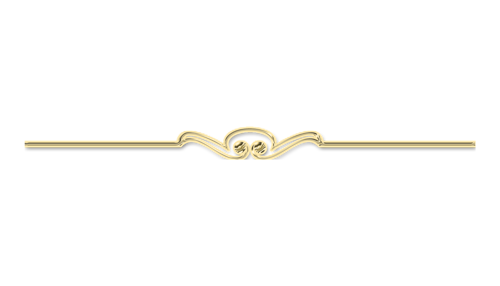 ayraç2.png