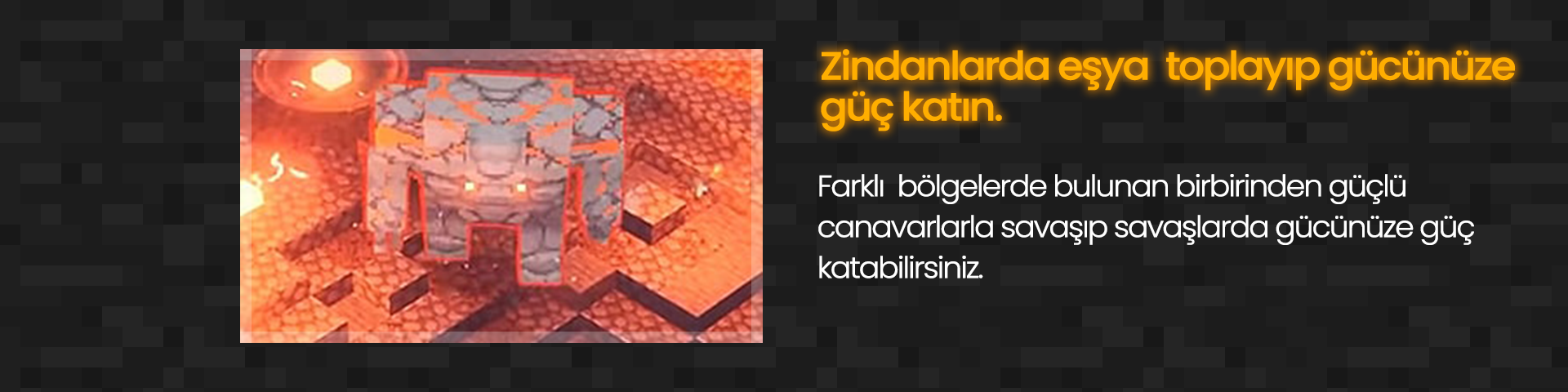 banner5.png