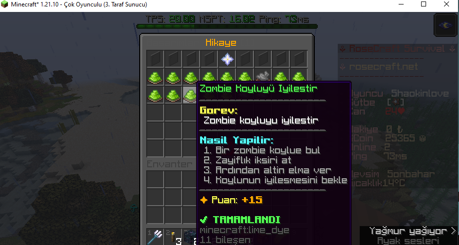 basarimlar.PNG