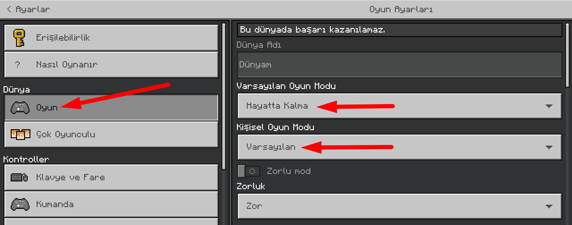 bedrock-hardcore-doğma9.png