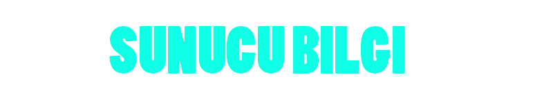 Bilgi.png