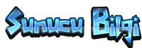 BILGIĞ.png