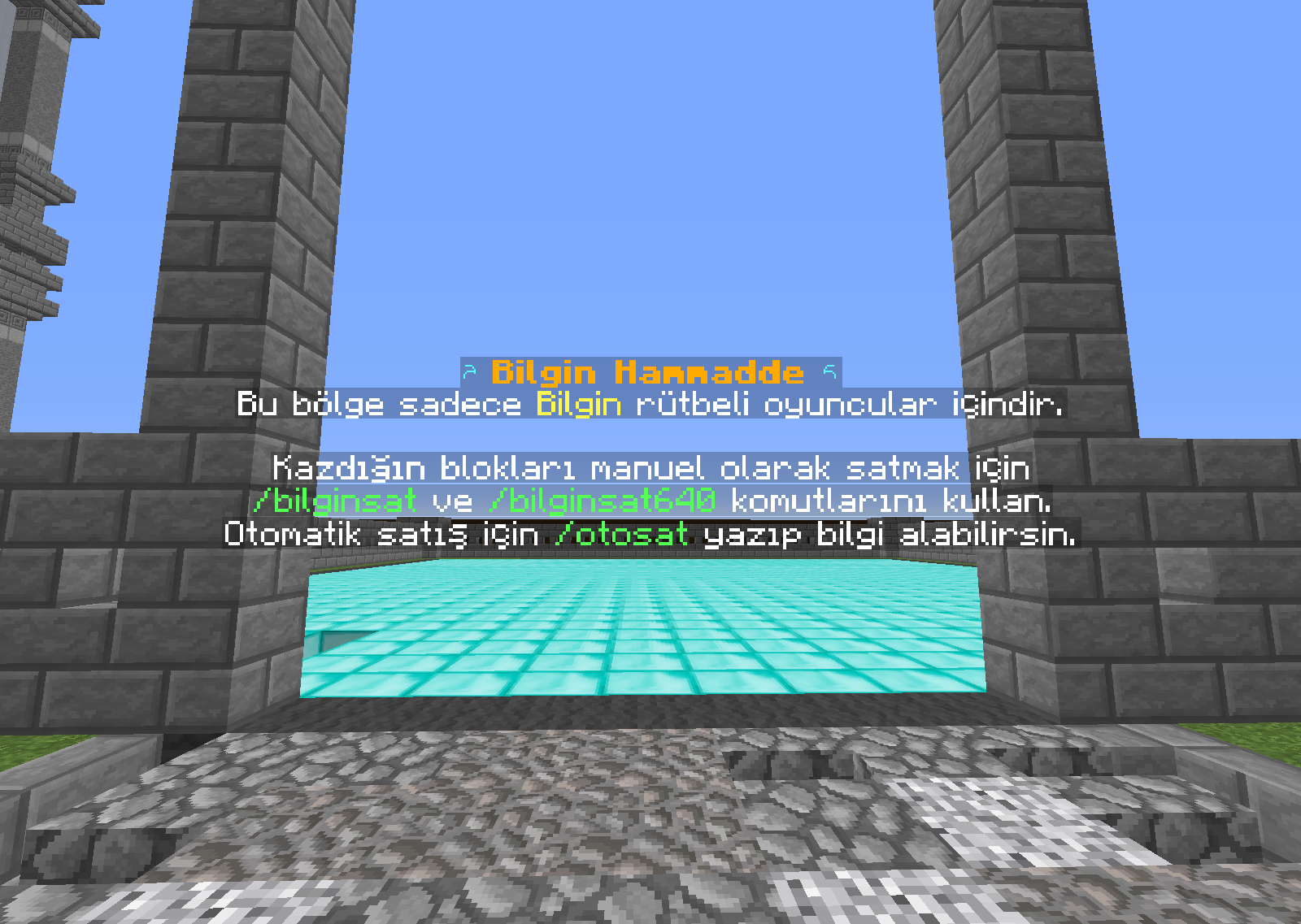 Bilgin.png
