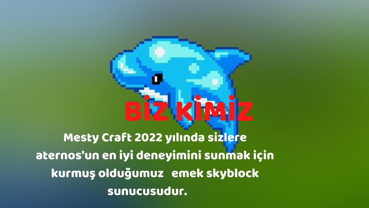 BİZ KİMİZ.png