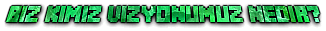 134374