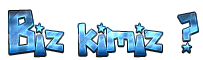 BizKimiz.png