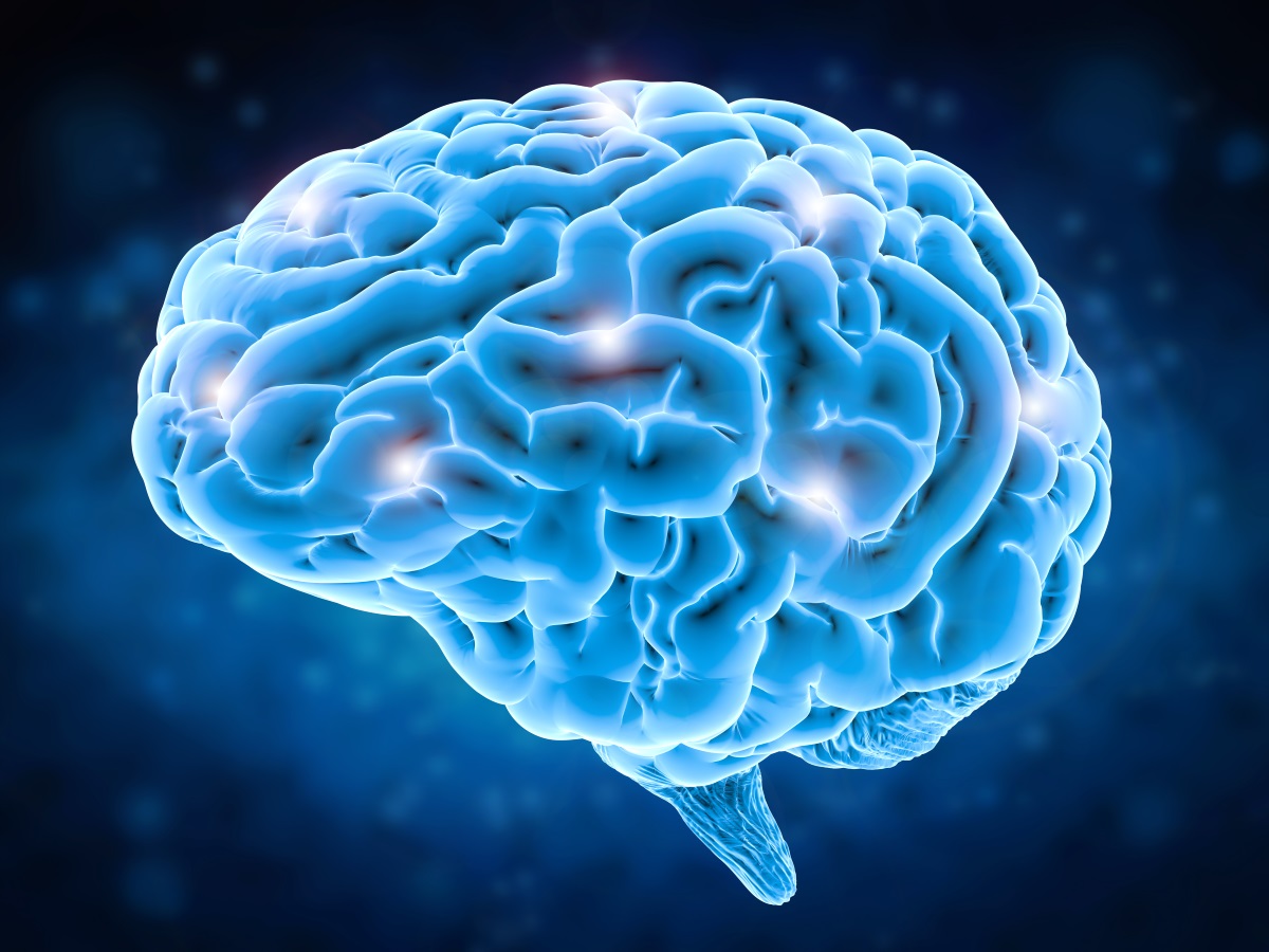 Brain.jpg