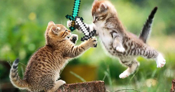 cat_minecraft_fight9012006.jpg