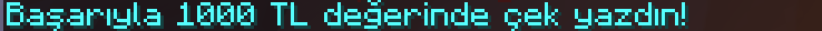 çek2.png