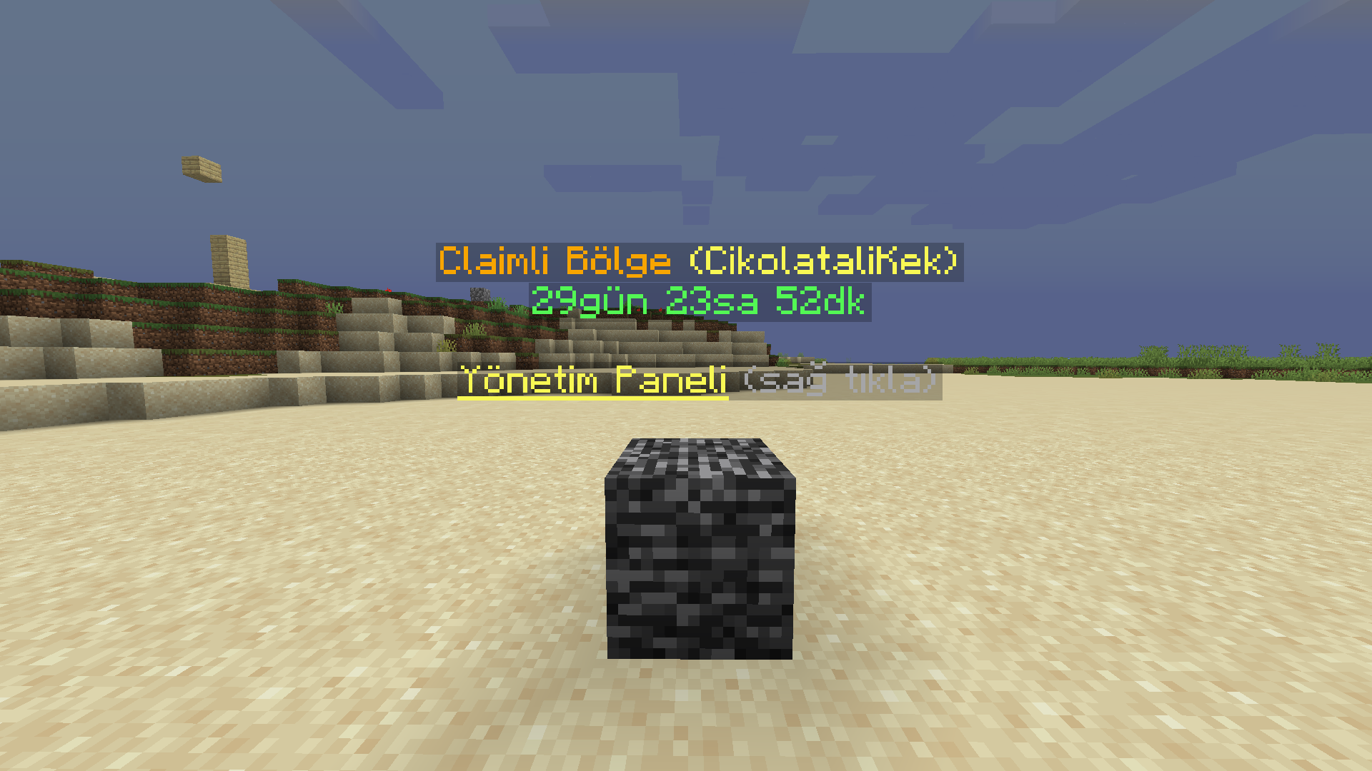 claim9.png